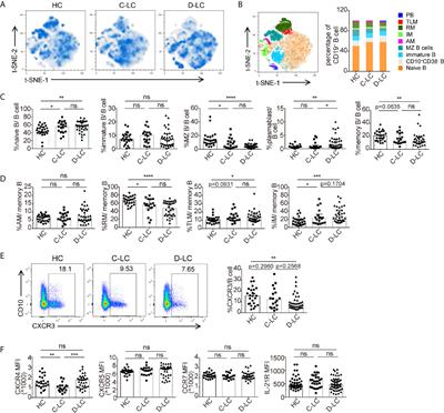 Reduced Energy Metabolism Impairs T Cell-Dependent B Cell Responses in Patients With Advanced HBV-Related Cirrhosis